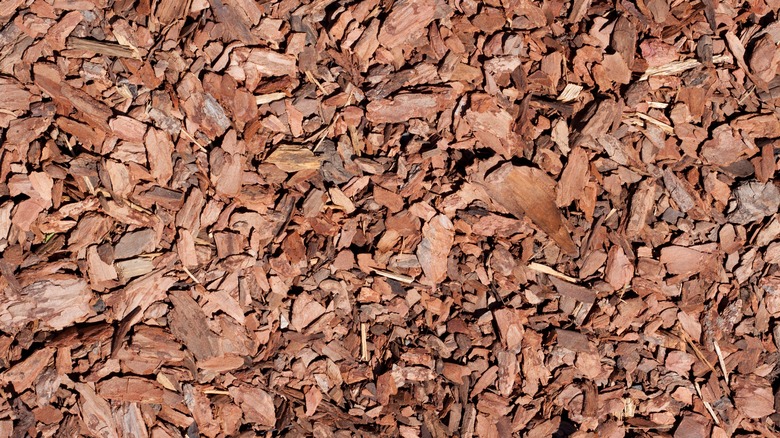 Close up of mulch