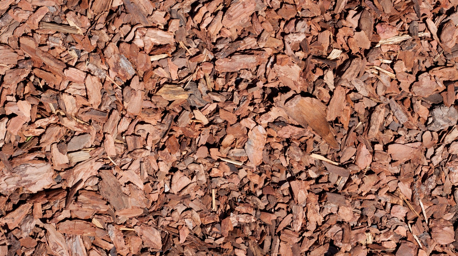 12 EcoFriendly Mulch Options