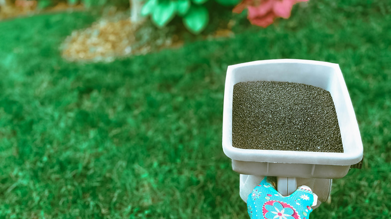 A gloved hand holding a fertilizer container with grass below