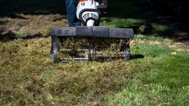Dethatching machine working on a lawn