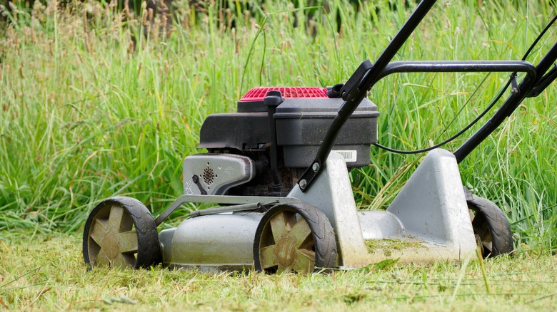 A mulching lawnmower on a patch of lawn