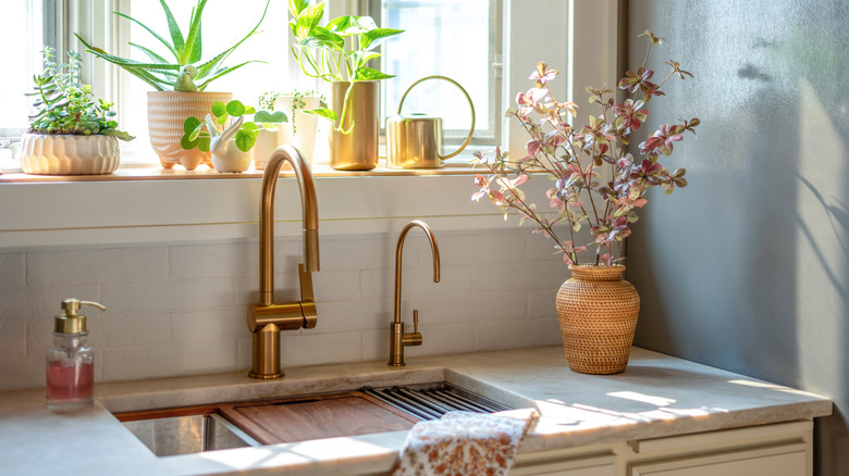 Plants in kitchen windowsill and on countertop next to sink