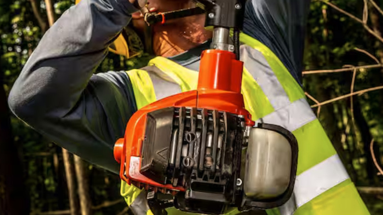 Man using Echo PPT-2620 pole saw with tree in background