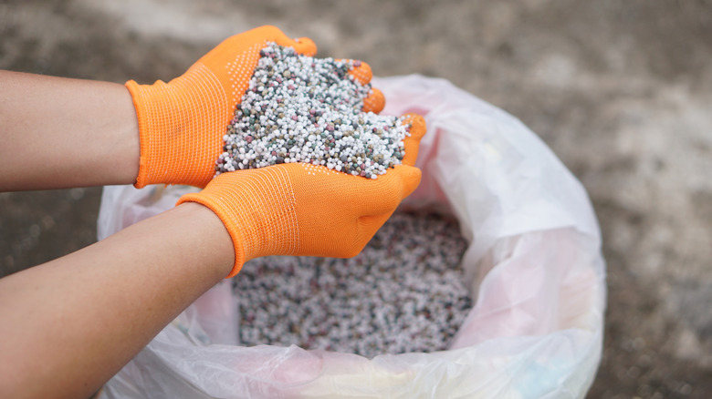 Person wearing gloves holding fertilizer pellets