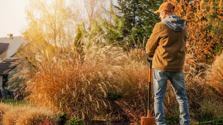 Man with spade looking at his fall garden