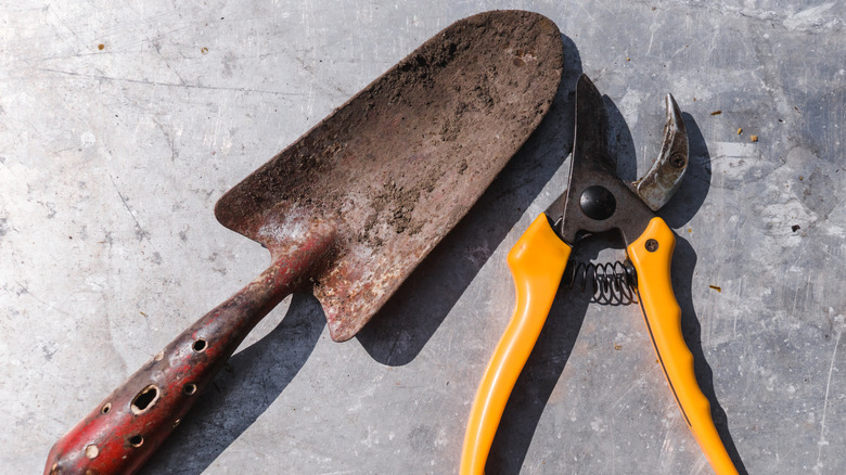 Dirty garden tools
