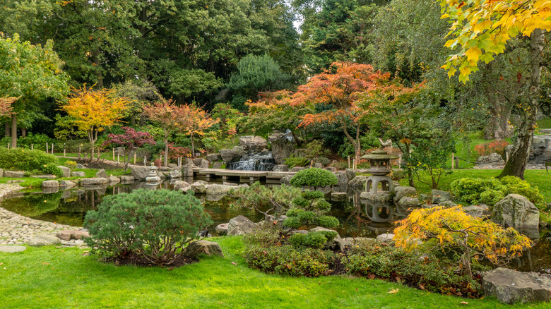 Japanese-style garden