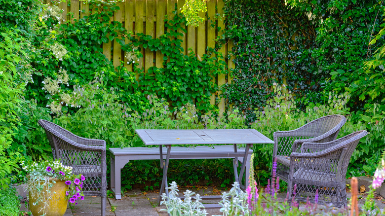 Vertical garden creating privacy with a seating area
