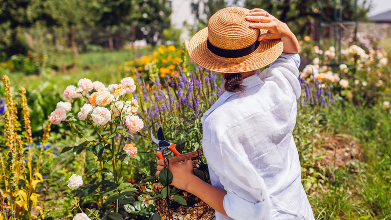 A person wearing a sun hat holds pruners in one hand while standing in front of a cottage-style flower garden in full bloom.