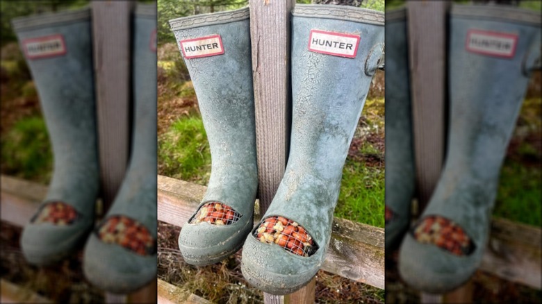 Rubber boot bird feeder with seed