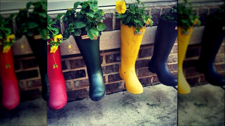 Multiple boots hung on wall with plants