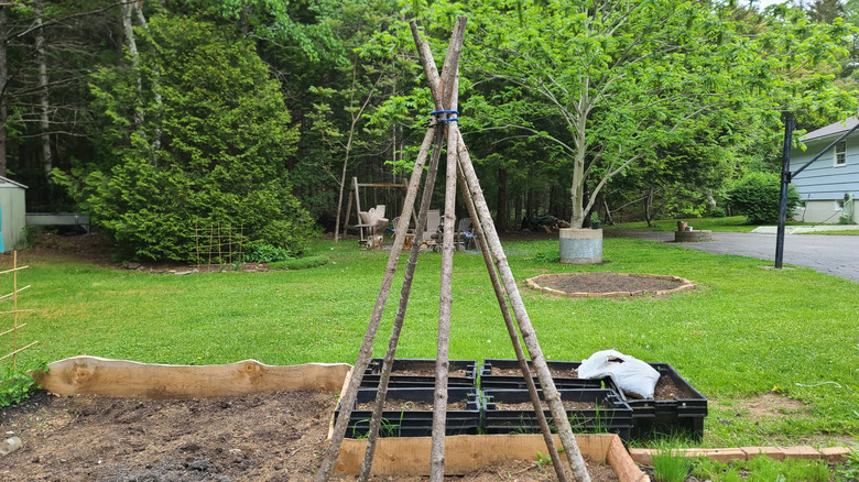 Branches tied together to make a trellis in a garden