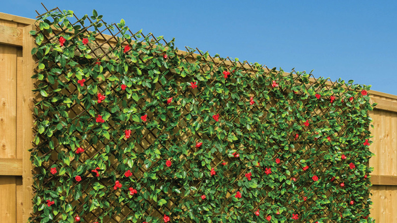 A green plant with red flowers on a wooden expandable trellis