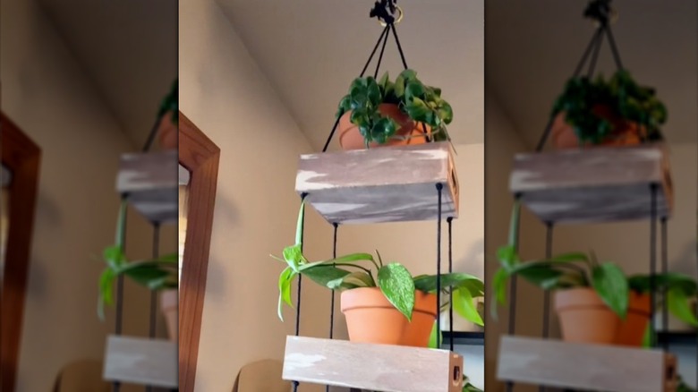 Wooden tray plant shelf hanging from ceiling via a garden hook