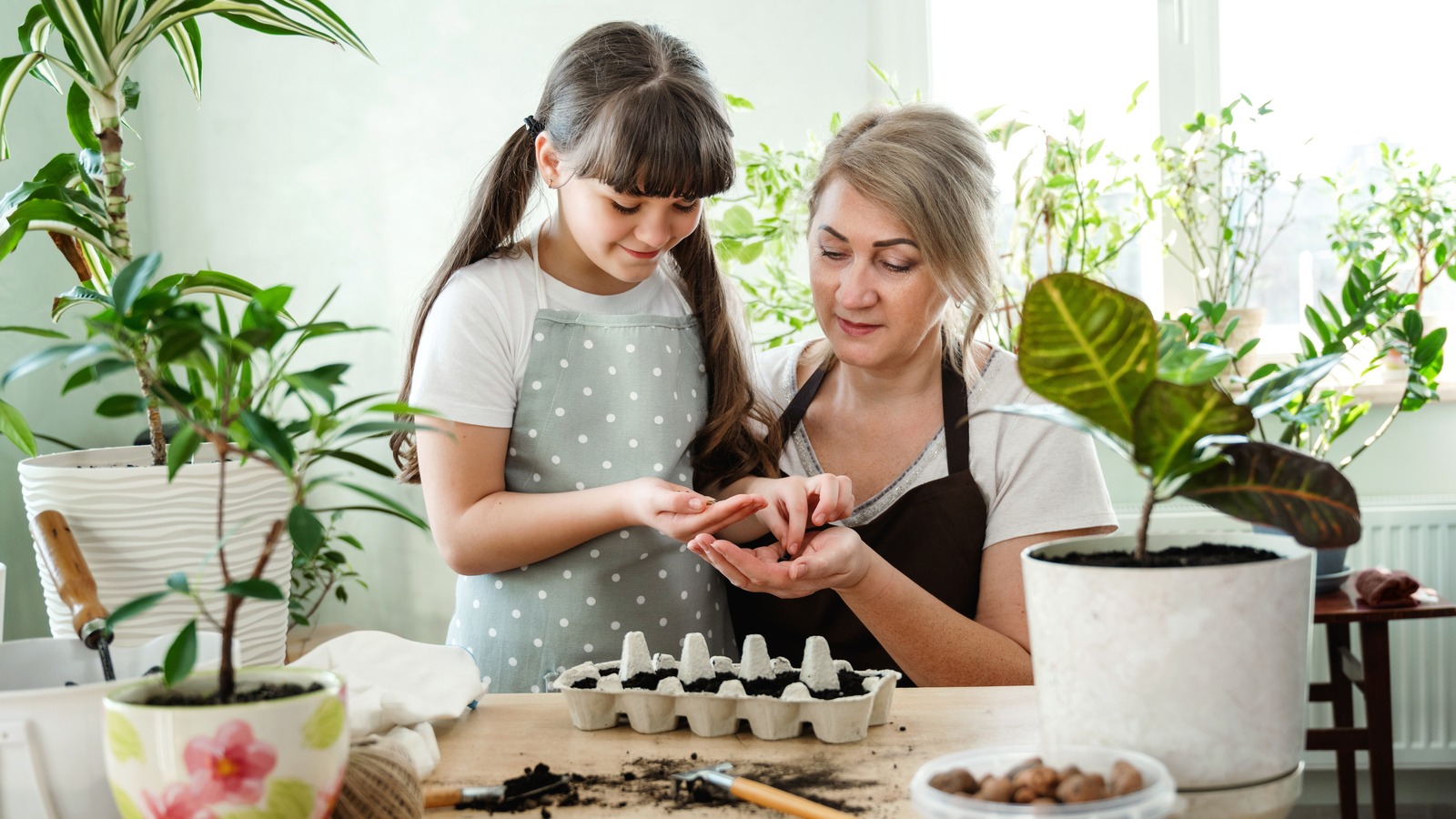 12 Genius Ways To Use Old Egg Cartons Around Your House & In Your Garden