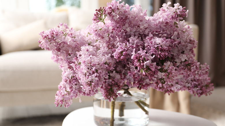 Vase of lilacs on table