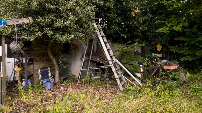 Cluttered yard with ladder