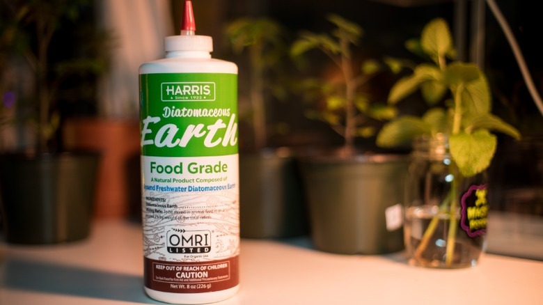 Food grade diatomaceous earth