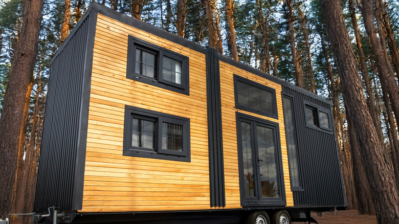 A wooden tiny house on wheels in a forest
