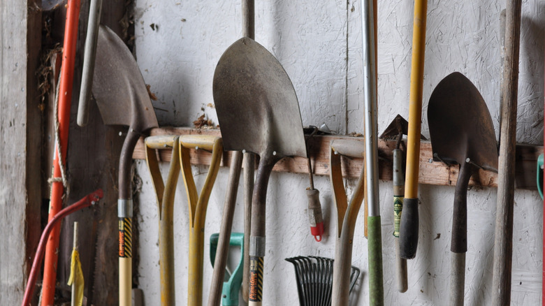 A variety of garden tolls hanging in a tool shed.