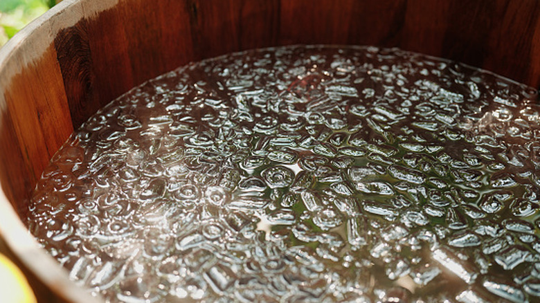 inground plunge pool for small yards