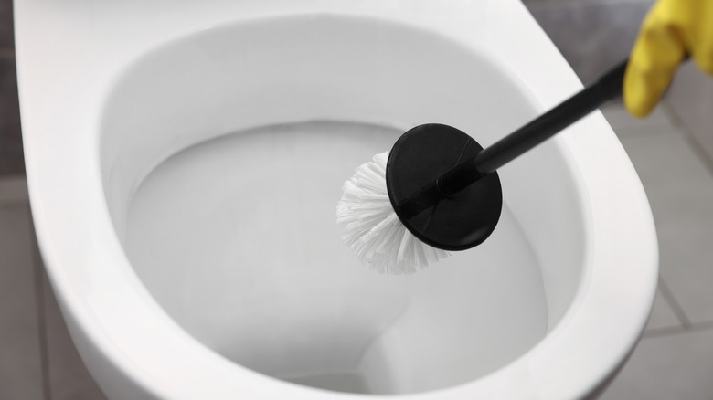 Close-up of a toilet brush in use on a clean toilet