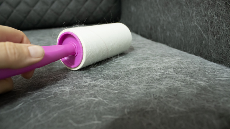 A person's hand using a lint roller to collect pet hairs from a sofa