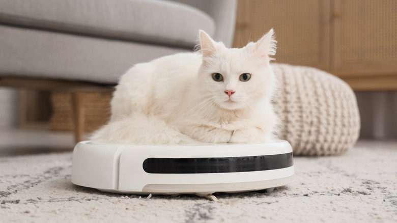 A white cat sitting on a robot vacuum cleaner