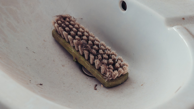 A dirty scrubbing brush in a sink