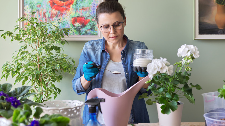 A woman spoons sugar into a pink plastic watering can for houseplants.