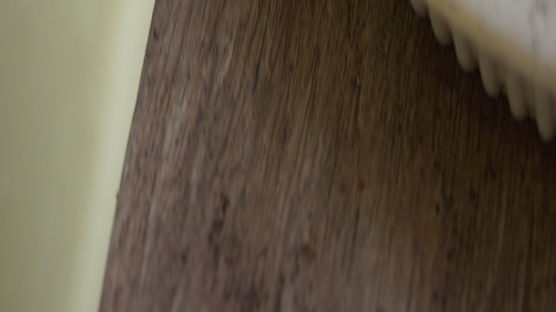 Water pools in the white saucer of a houseplant sitting on a tabletop.