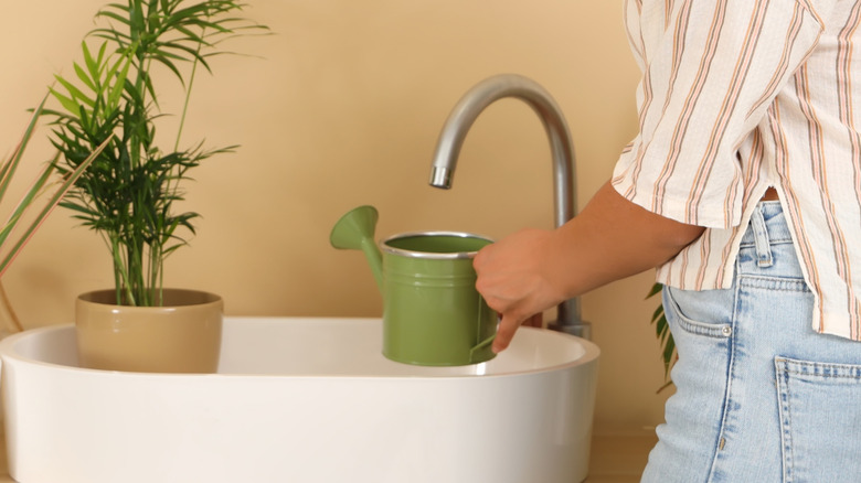 A person prepares to fill up a green metal watering can from a bathroom sink faucet.