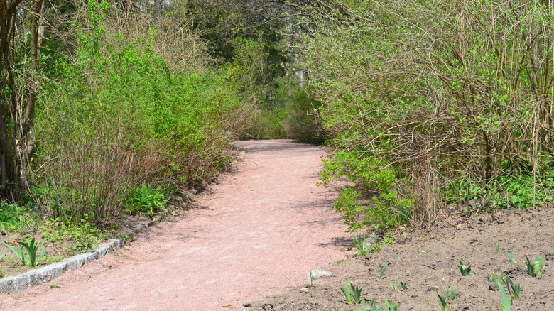Accessible material used as a pathway