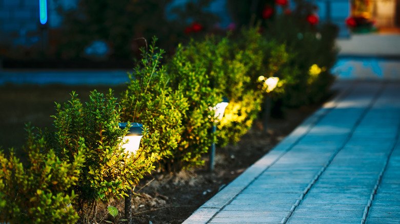 Motion-sensor path lights