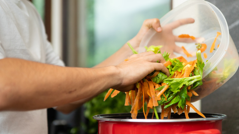 Person making veggie broth