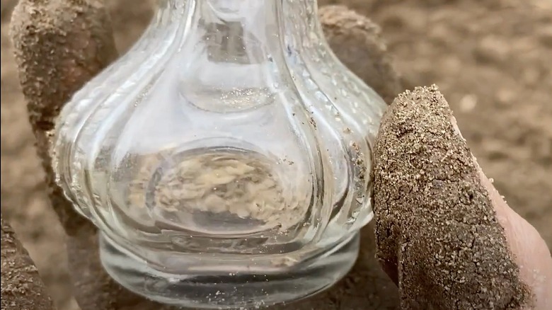 Salt shaker seed planter