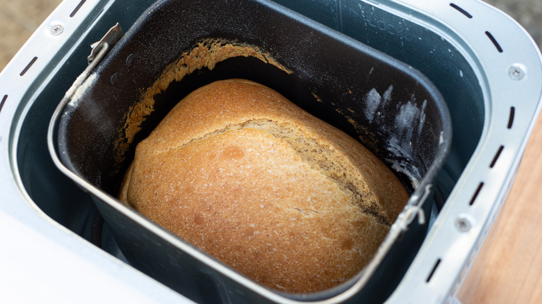 close-up of freshly made bread in a bread maker