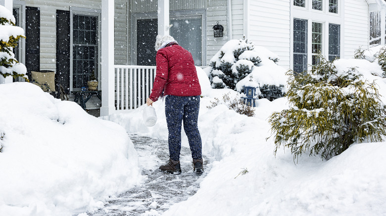 Woman using a de-icing solution on a snowy driveway