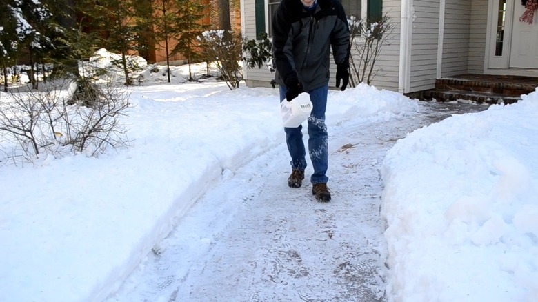 Man sprinkling magnesium chloride on snow in driveway