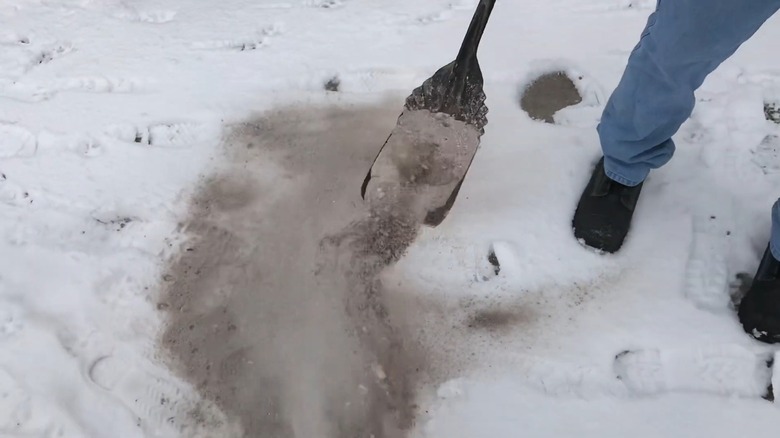 Man applying wood ash to snow using a shovel