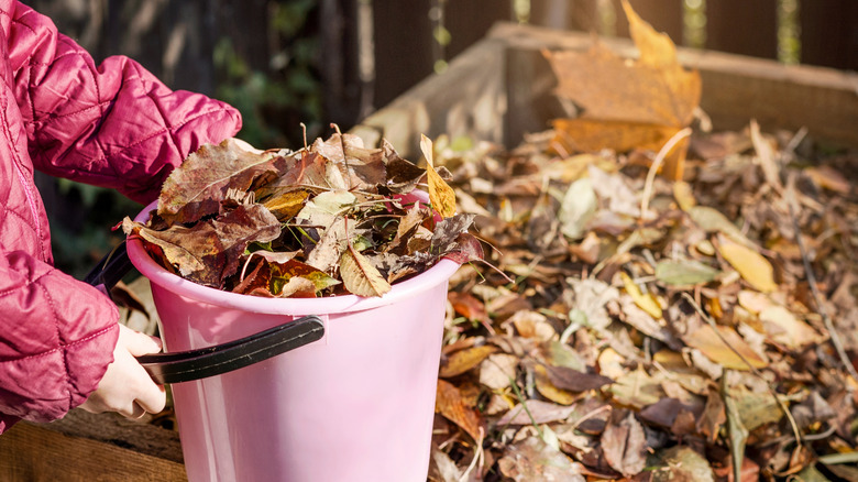 Close-up of person adding a bucket of leaves to a compost box
