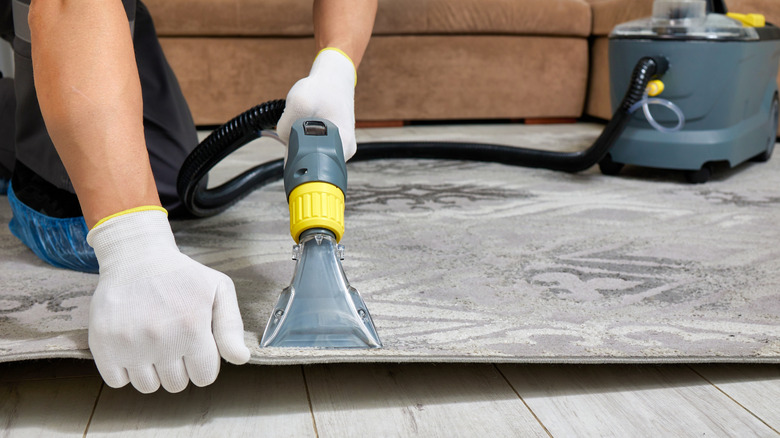 Close-up of person using shop vac on rug