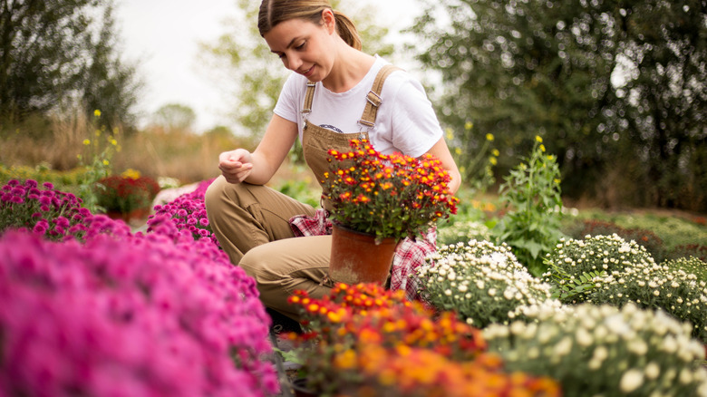 A young woman plants colorful flowers.