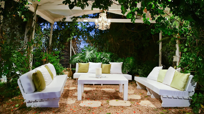 Pergola with plants growing up it for privacy