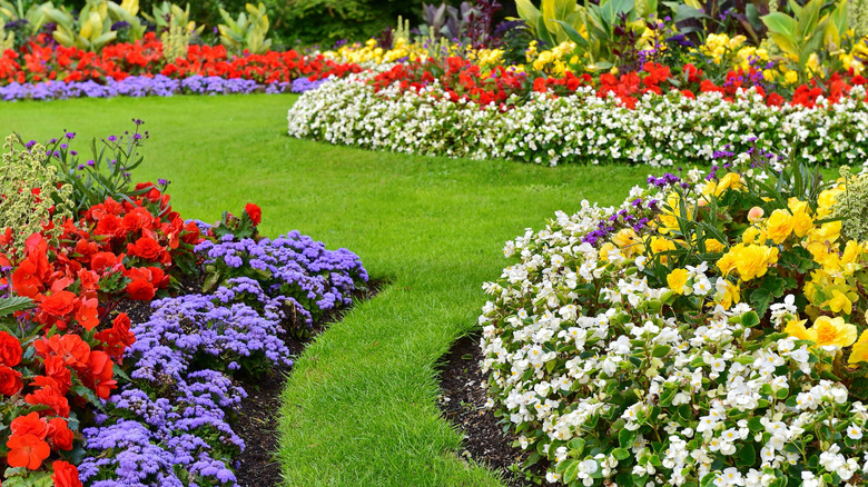 Scenic view of colourful flowers in bloom and a winding grass lawn path in a beautiful English style landscape garden on a summer day