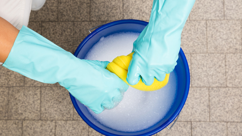 A person is squeezing out a sponge above a bucket of soapy water