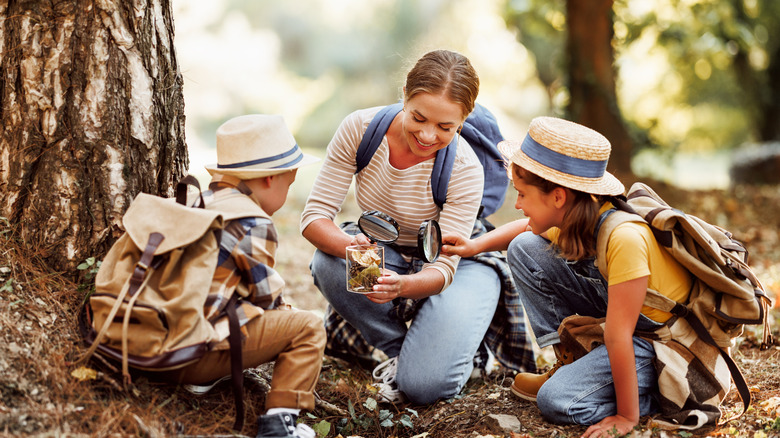 A woman and two children sit near an old tree examining samples with magnifying glasses