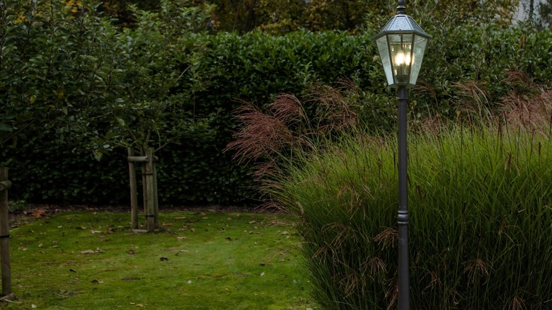 A black solar light post with illuminated bulbs