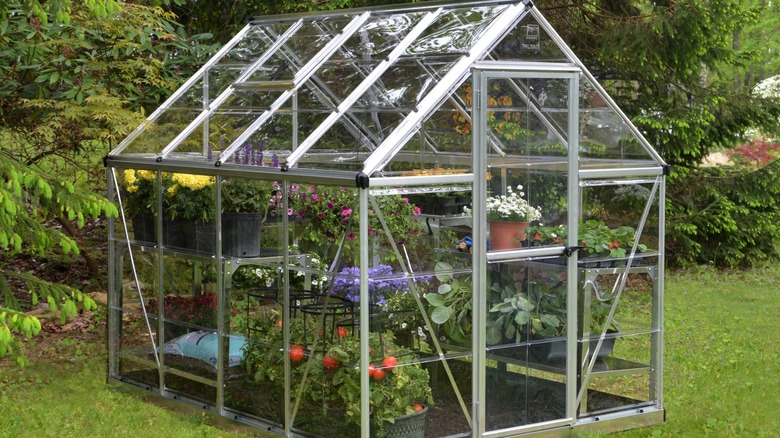 A glass paneled greenhouse filled with plants in a garden
