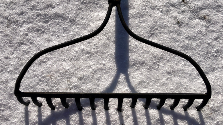 A rake in the snow